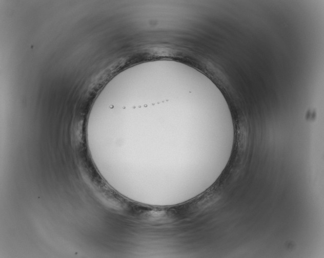 X0000112390406200909101416