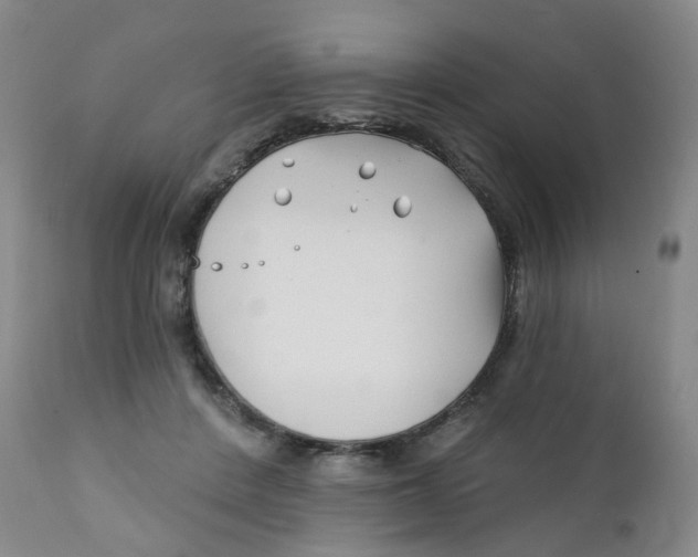 X0000112390408200909101416