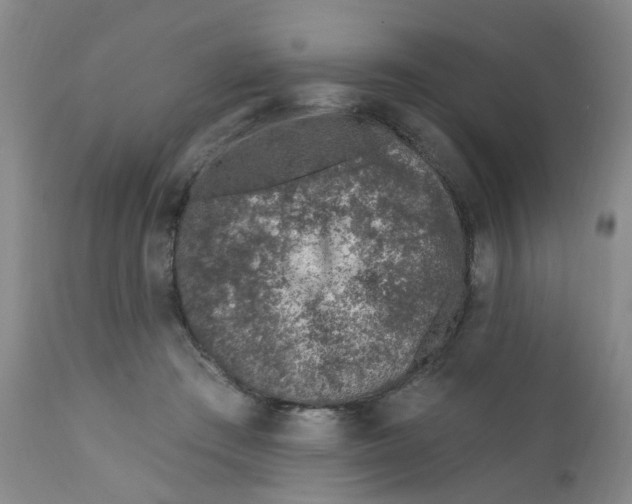X0000112390409200909101416
