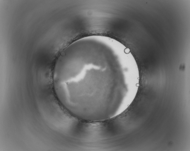 X0000112390411200909101416