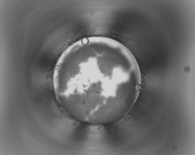X0000112390415200909101416
