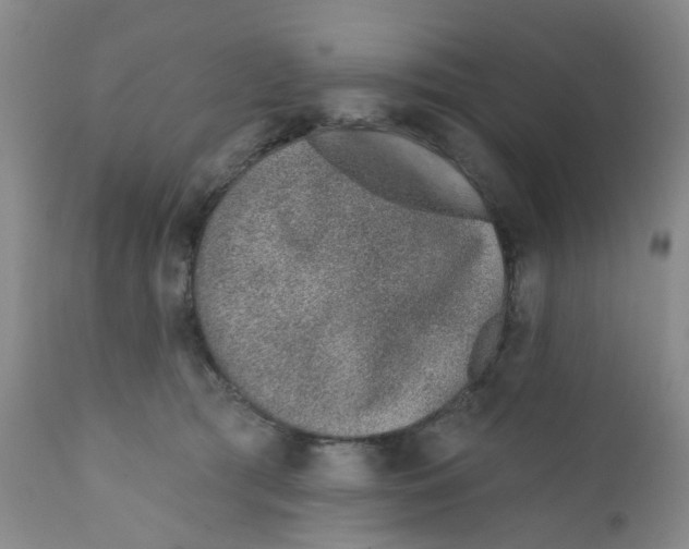 X0000112390417200909101416