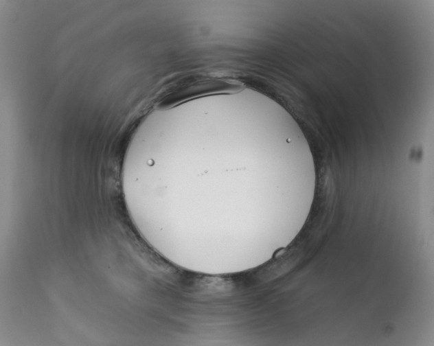 X0000112390421200909101415