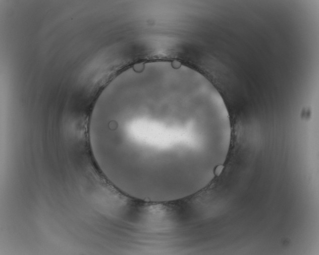 X0000112390423200909101415