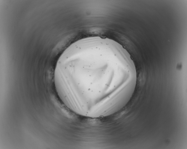 X0000112390424200909101415