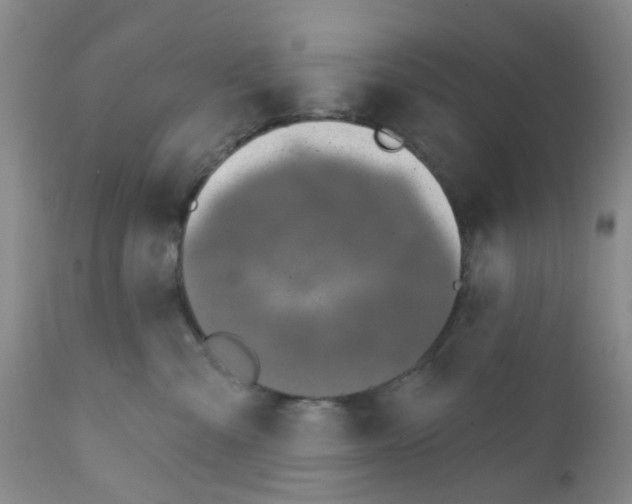 X0000112390427200909101415