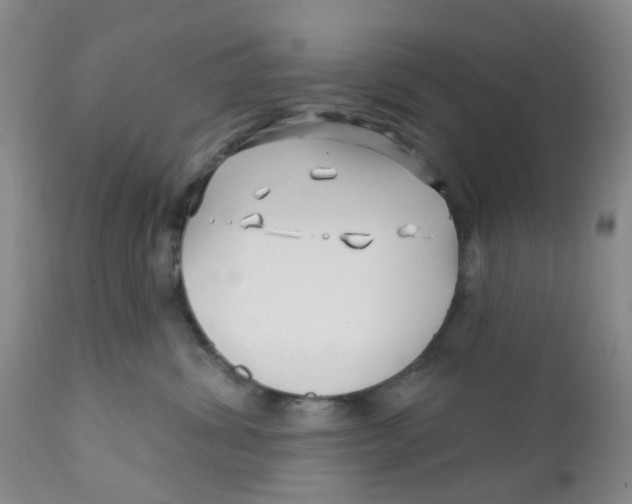 X0000112390428200909101415