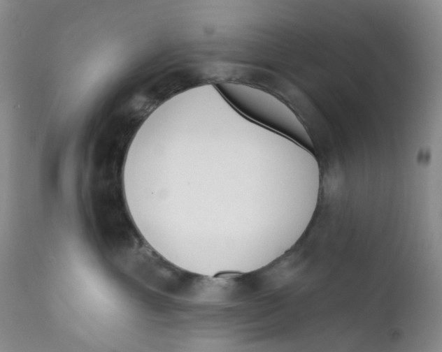 X0000112390429200909101415