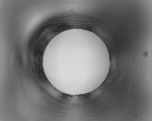 X0000112390430200909101415