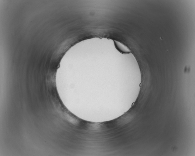 X0000112390432200909101415