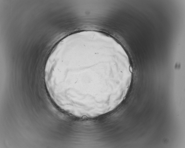 X0000112390433200909101414