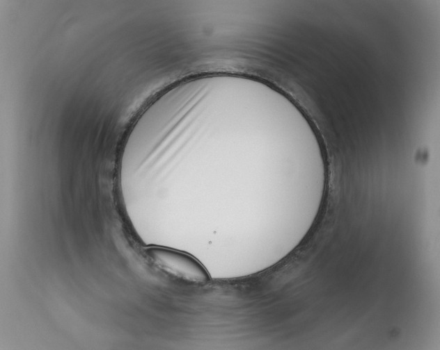 X0000112390434200909101414