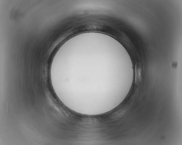X0000112390435200909101414