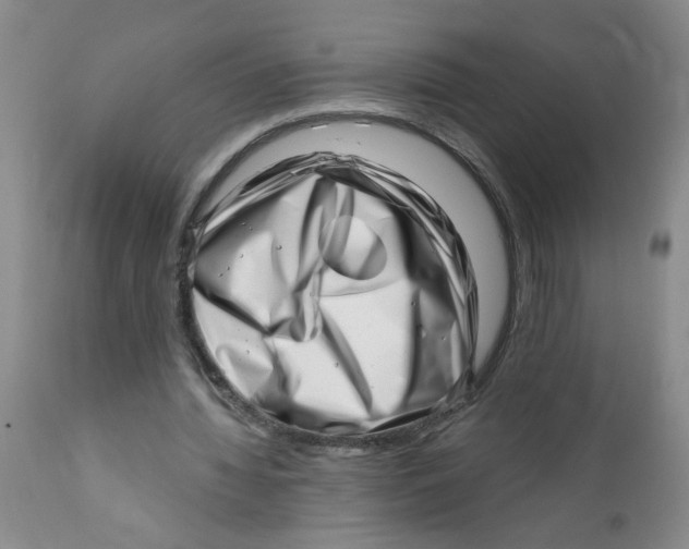 X0000112390436200909101414