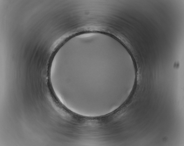 X0000112390438200909101414