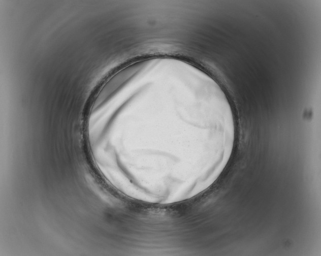 X0000112390439200909101414
