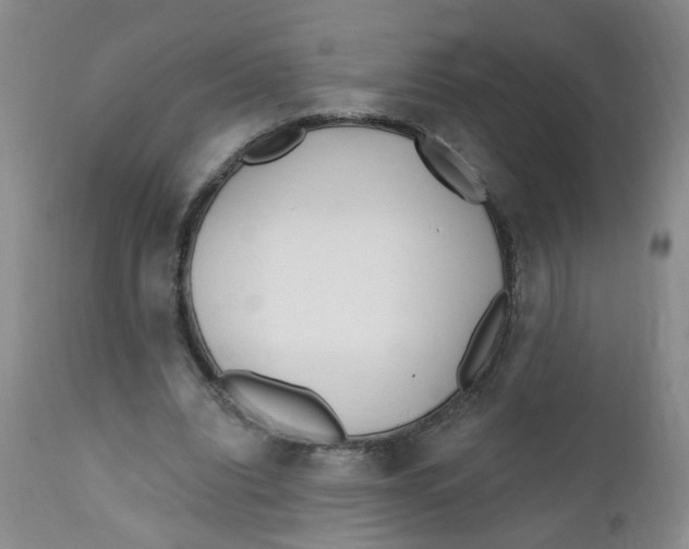X0000112390440200909101414