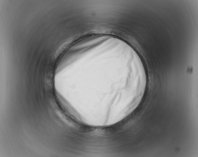 X0000112390441200909101414
