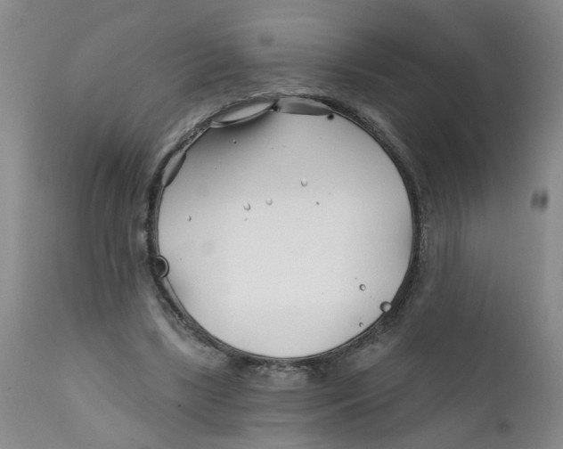 X0000112390443200909101414