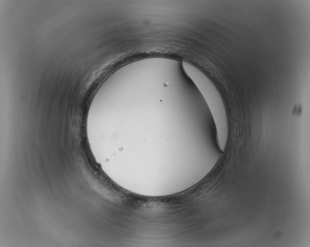 X0000112390444200909101414