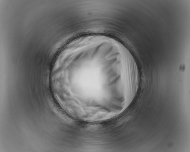 X0000112390446200909101414