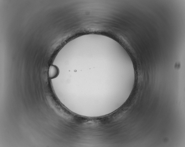 X0000112390447200909101414