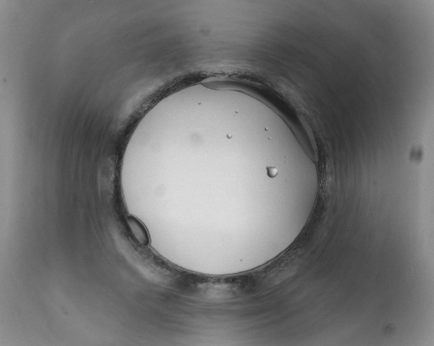 X0000112390448200909101415