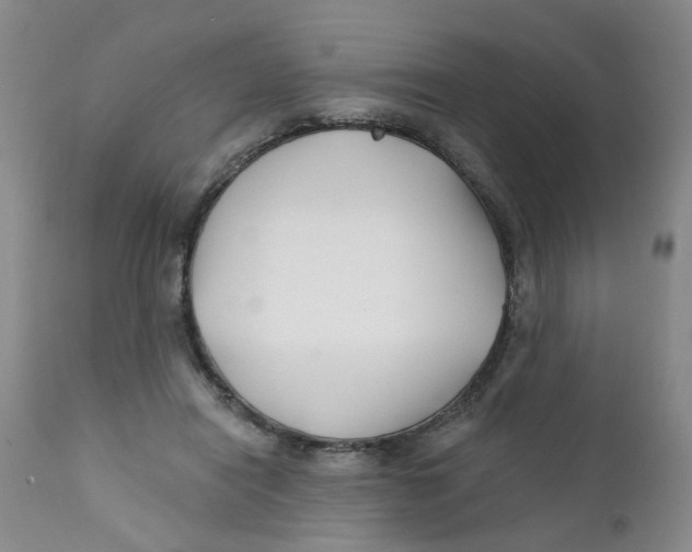 X0000112390454200909101415