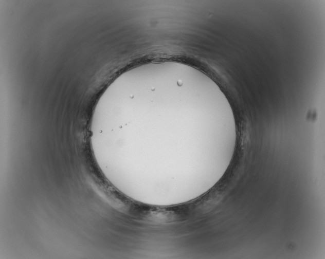 X0000112390455200909101415