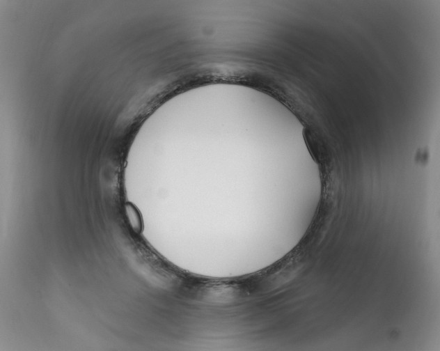 X0000112390456200909101415