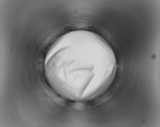 X0000112390462200909101415