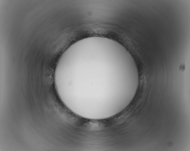 X0000112390464200909101415