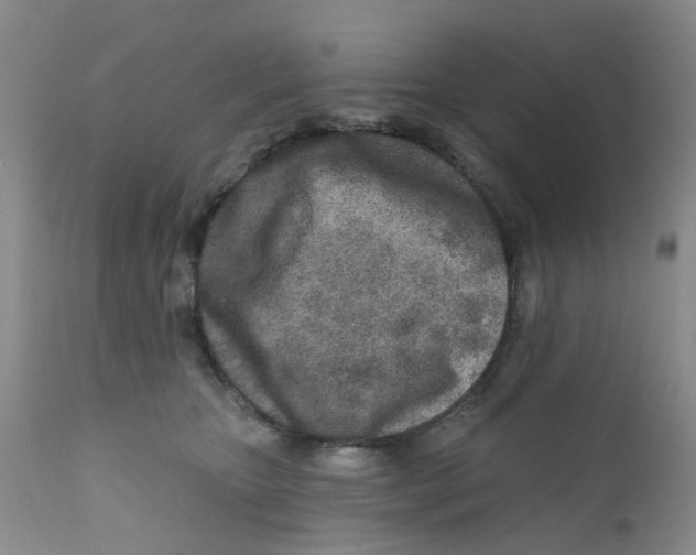 X0000112390467200909101415