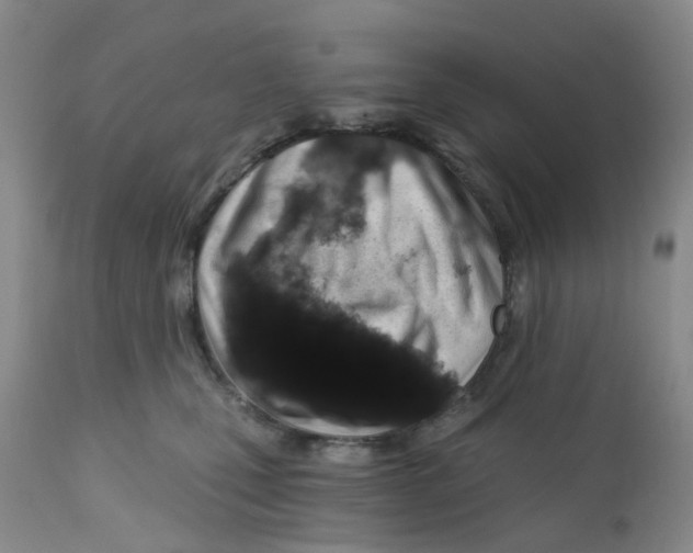 X0000112390471200909101415