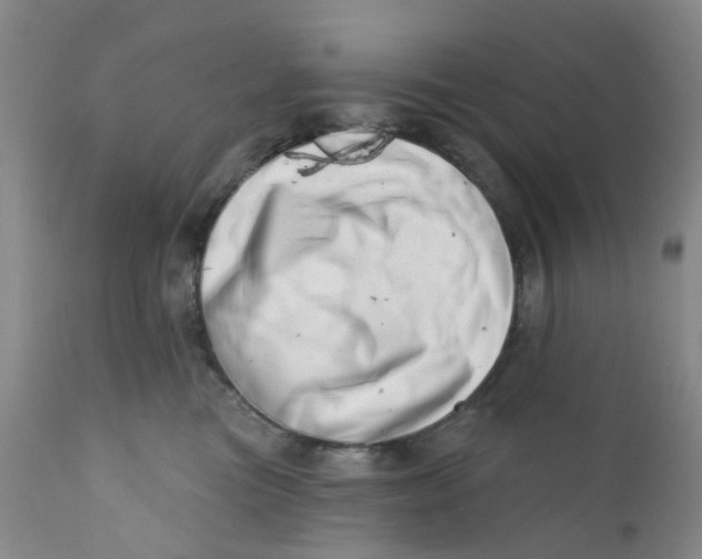 X0000112390473200909101415