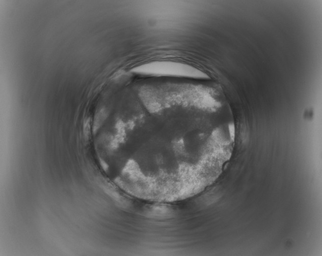 X0000112390475200909101415