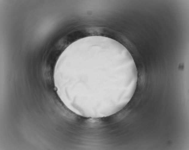 X0000112390477200909101415