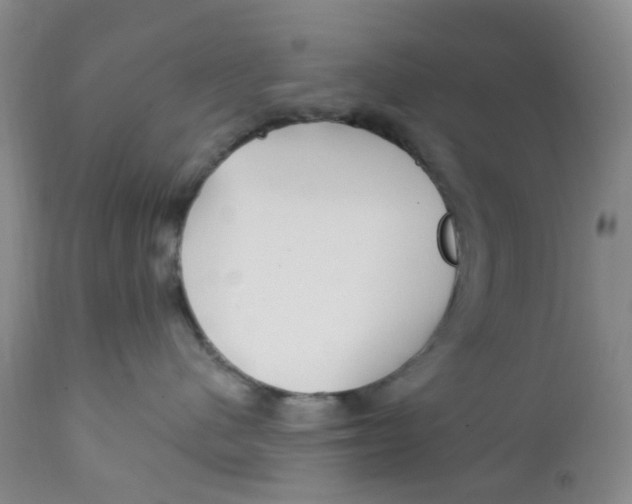 X0000112390480200909101415