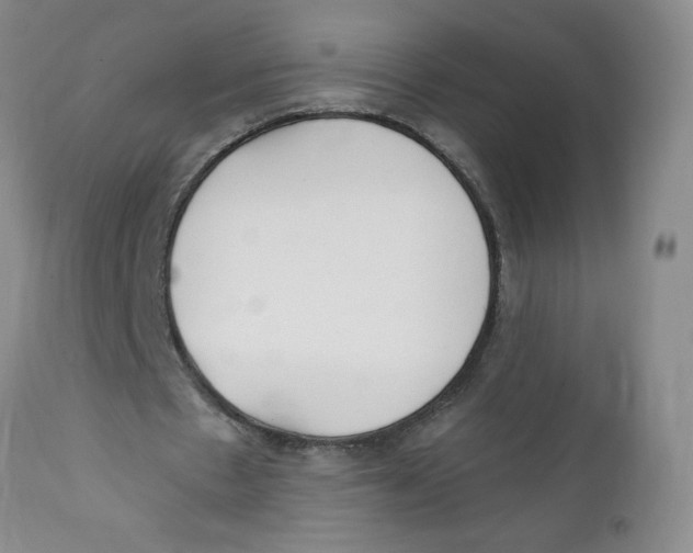 X0000112390481200909101414