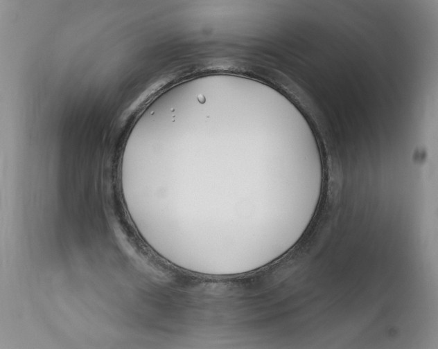 X0000112390482200909101414
