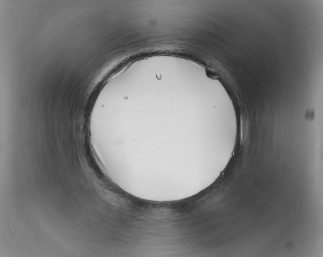 X0000112390483200909101414