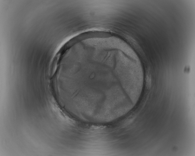 X0000112390484200909101414