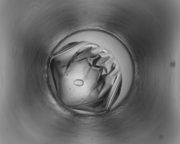 X0000112390485200909101414