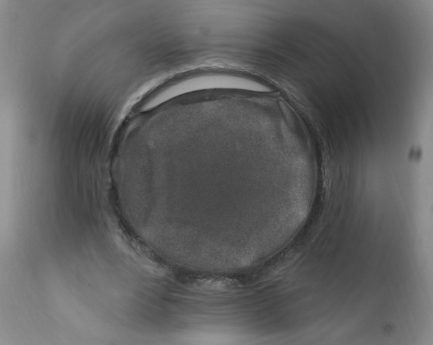 X0000112390488200909101414