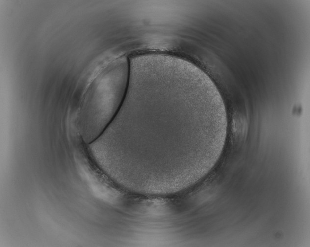 X0000112390492200909101414