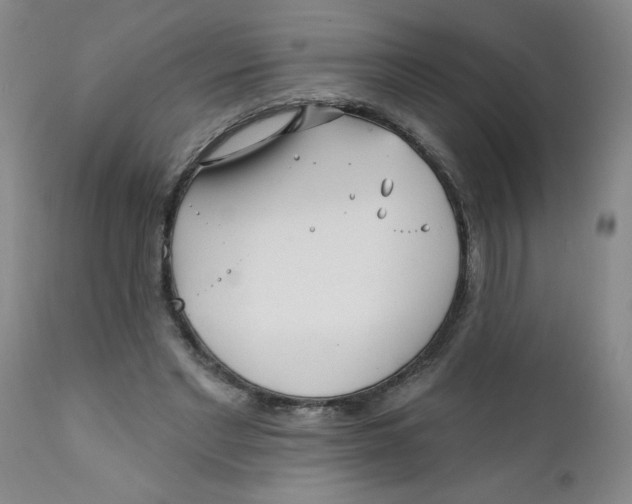 X0000112390493200909101414