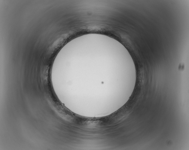 X0000112390495200909101414