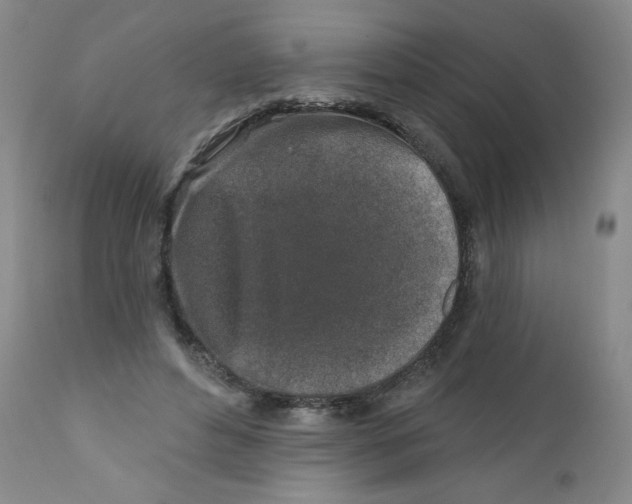 X0000112390496200909101414