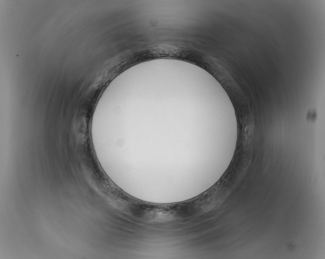 X0000112390498200909101414