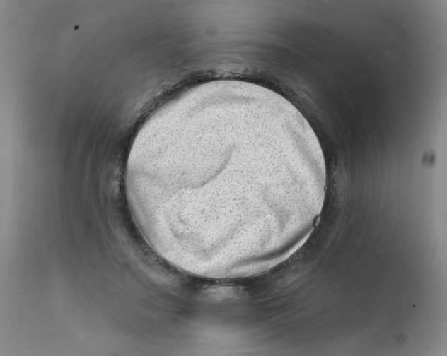 X0000112390499200909101414